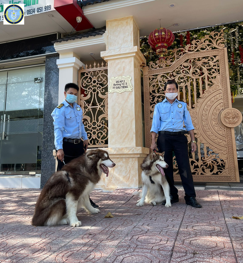 Dich-vu-bao-ve-nha-rieng-biet-thu