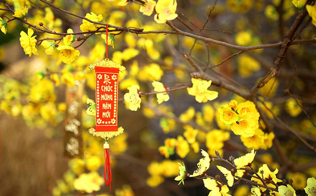 Vì Sao Cần Thuê Bảo Vệ Trực Tết ?