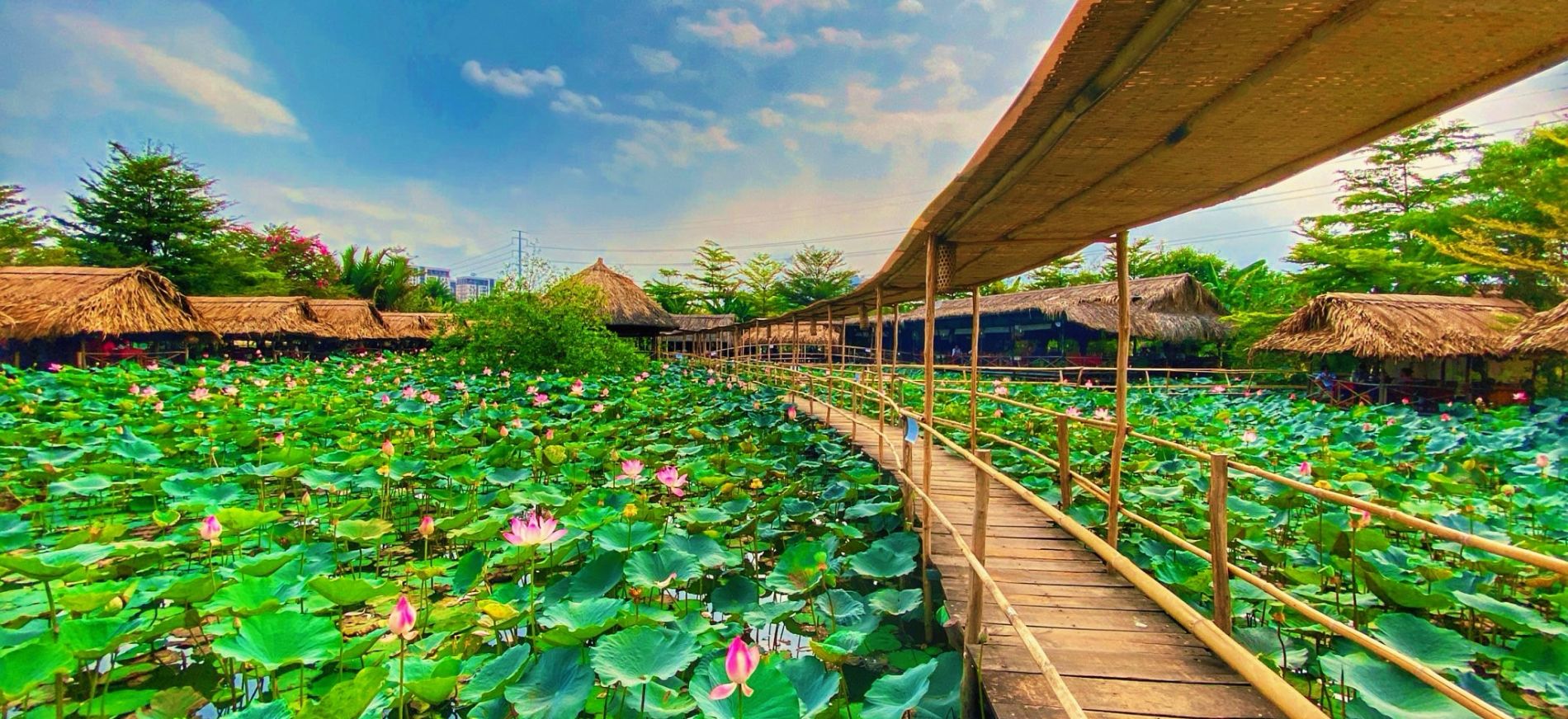 Khu Du Lịch Hcm 02